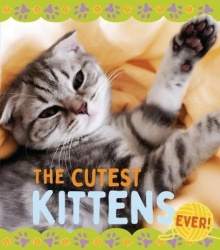 The Cutest Kittens