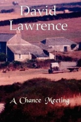 A Chance Meeting - A Novel