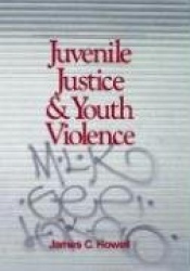 Juvenile Justice and Youth Violence