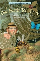 One Beetle Too Many - The Extraordinary Adventures of Charles Darwin: Candlewick Biographies