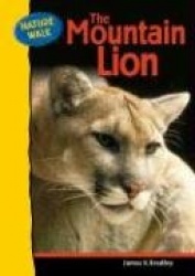 The Mountain Lion