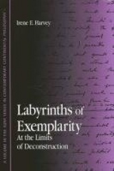 Labyrinths of Exemplarity - At the Limits of Deconstruction