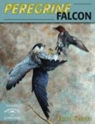 Peregrine Falcon - Dynamic Carving and Painting Techniques for a New Era