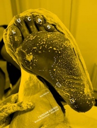 Sarah Lucas - I Scream Daddio