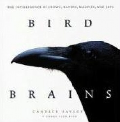Bird Brains - The Intelligence of Crows, Ravens, Magpies, and Jays
