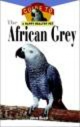 The African Grey