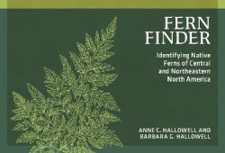 Fern Finder - Identifying Native Ferns of Central and Northeastern North America