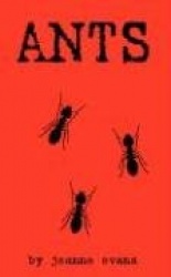 Ants