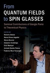 From Quantum Fields to Spin Glasses