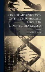 On The Morphology Of The Chromosome Group In Brachystola Magna