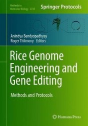 Rice Genome Engineering and Gene Editing - Methods and Protocols