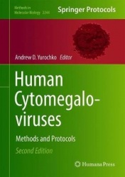 Human Cytomegaloviruses : Methods and Protocols