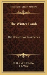 The Winter Lamb: The Dorset Ewe in America