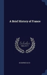 A Brief History of France