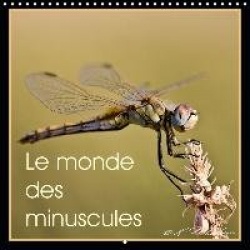 Monde des Minuscules