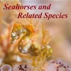 Seahorses and Related Species (Wall Calendar 2020 300× 300 mm Square)