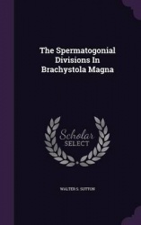 The Spermatogonial Divisions in Brachystola Magna