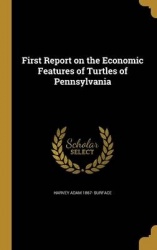 1ST REPORT ON THE ECONOMIC FEA