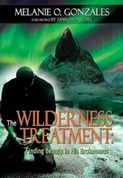 The Wilderness Treatment
