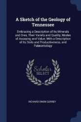 A Sketch of the Geology of Tennessee: Embracing a Description of Its Minerals and Ores, Their Variety and Quality, Modes of Assa