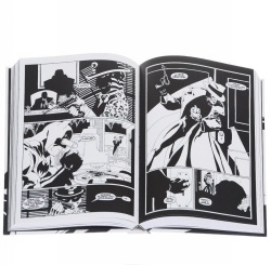 Batman noir the long halloween