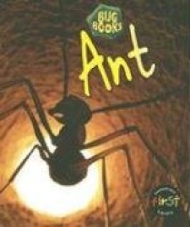 Ant