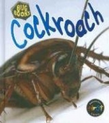 Cockroach