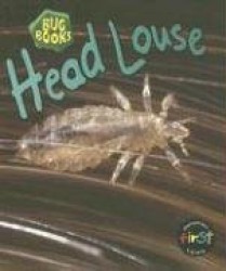 Head Louse