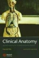 Clinical Anatomy