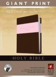 Giant Print Bible-NLT