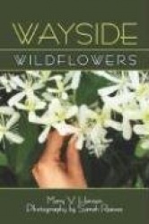 Wayside: Wildflowers