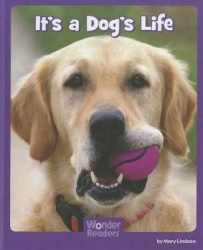 It's a Dog's Life