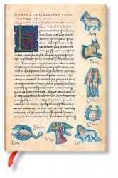 Astronomica Midi Lined Softcover Flexi Journal