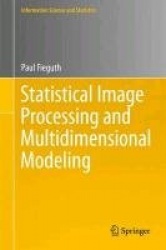 Statistical Image Processing and Multidimensional Modeling