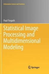 Statistical Image Processing and Multidimensional Modeling
