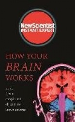 How Your Brain Works
