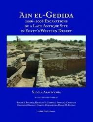 `Ain El-Gedida - 2006-2008 Excavations of a Late Antique Site in Egypt`s Western Desert (Amheida IV)
