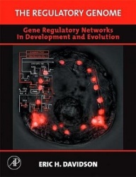 The Regulatory Genome - Gene Regulatory Networks in Development and Evolution