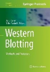 Western Blotting : Methods and Protocols