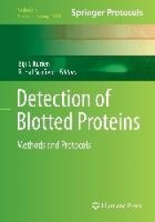 Detection of Blotted Proteins : Methods and Protocols