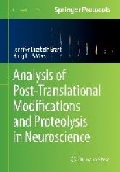Analysis of Post-Translational Modifications and Proteolysis in Neuroscience