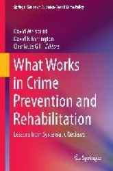 What Works in Crime Prevention and Rehabilitation : Lessons from Systematic Reviews