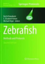 Zebrafish : Methods and Protocols