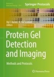 Protein Gel Detection and Imaging : Methods and Protocols