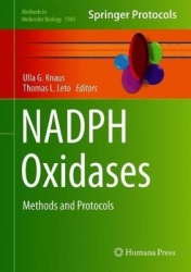 NADPH Oxidases : Methods and Protocols