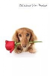Dachshund Love Notebook Record Journal, Diary, Special Memories, To Do List, Academic Notepad, and Much More