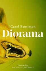 Diorama - an engrossing suspense novel set in 1980s Brazil