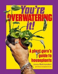 You're Overwatering It!