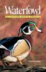 Waterfowl of Eastern North America