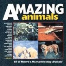 Amazing Animals
